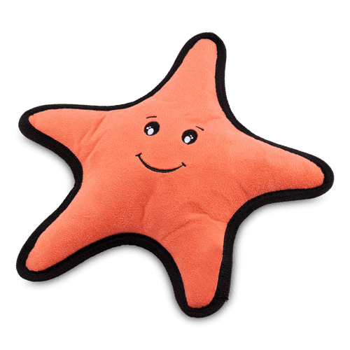 Beco Sindy the Starfish