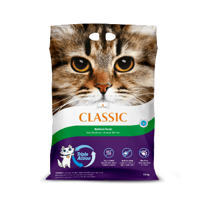 Intersand Classic Clumping Northern Forest Scent Cat Litter 14kg