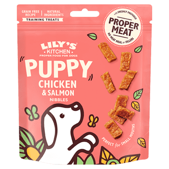 Lily's Kitchen Dog Treats: Puppy Chicken & Salmon Nibbles 70g