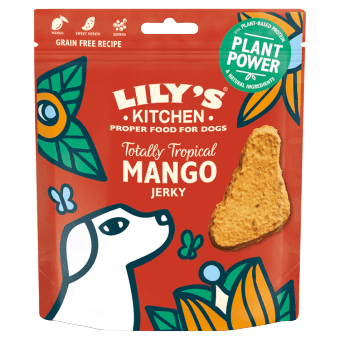 Lily's Kitchen Dog Treats: Tropical Mango Jerky 70g