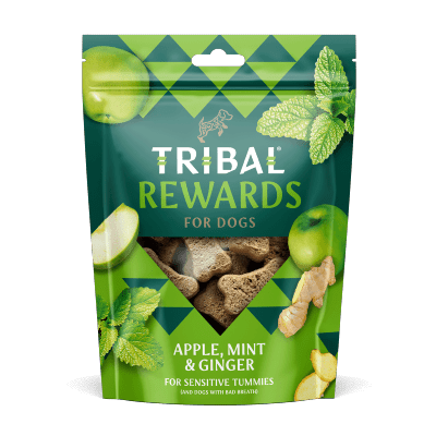 Tribal Dog Treats: Apple, Mint & Ginger 130g